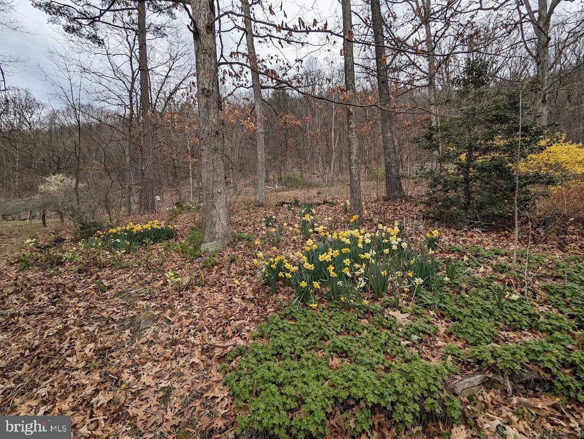 1537 Hidden Valley Road photo 68