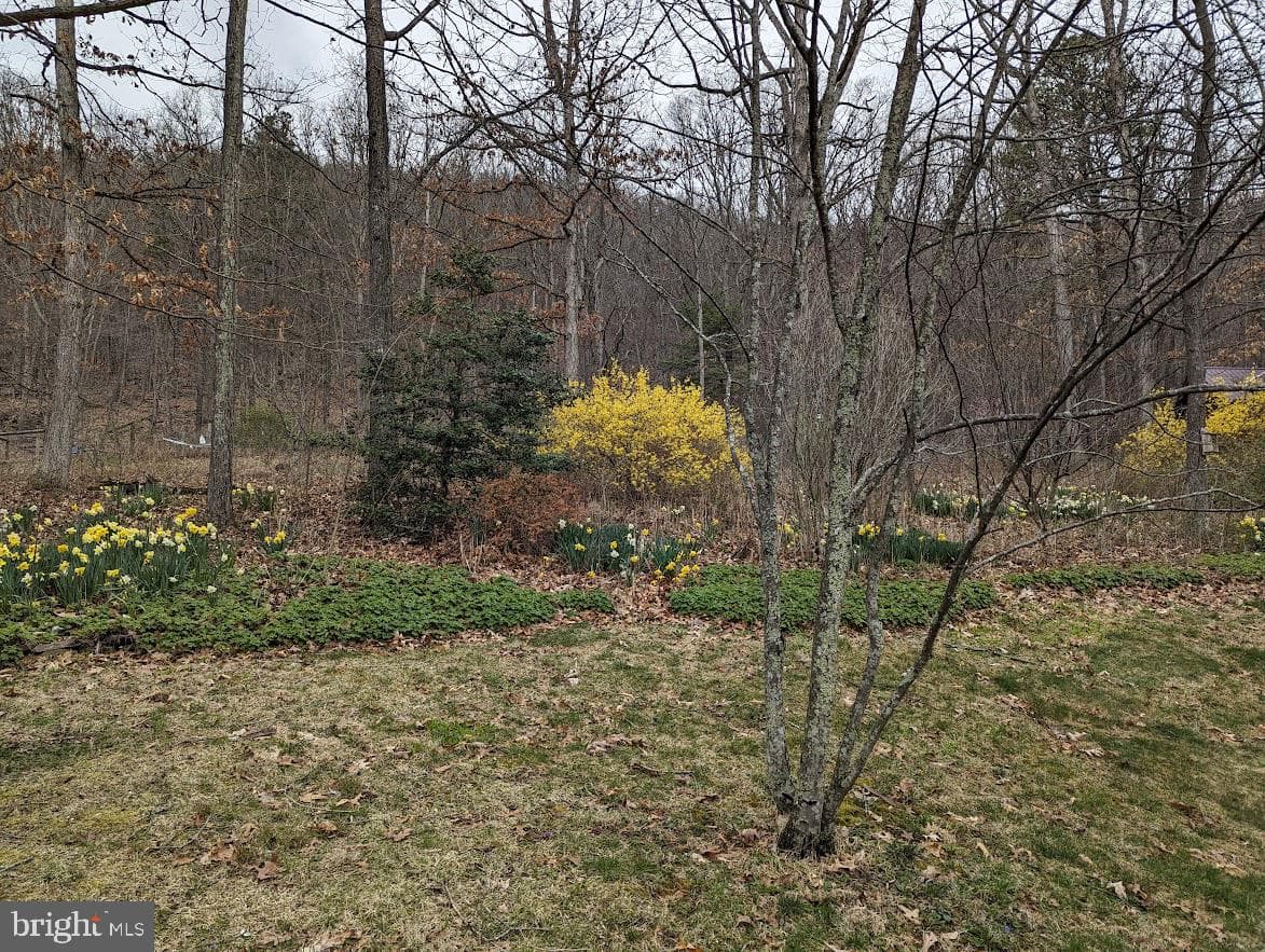 1537 Hidden Valley Road photo 69