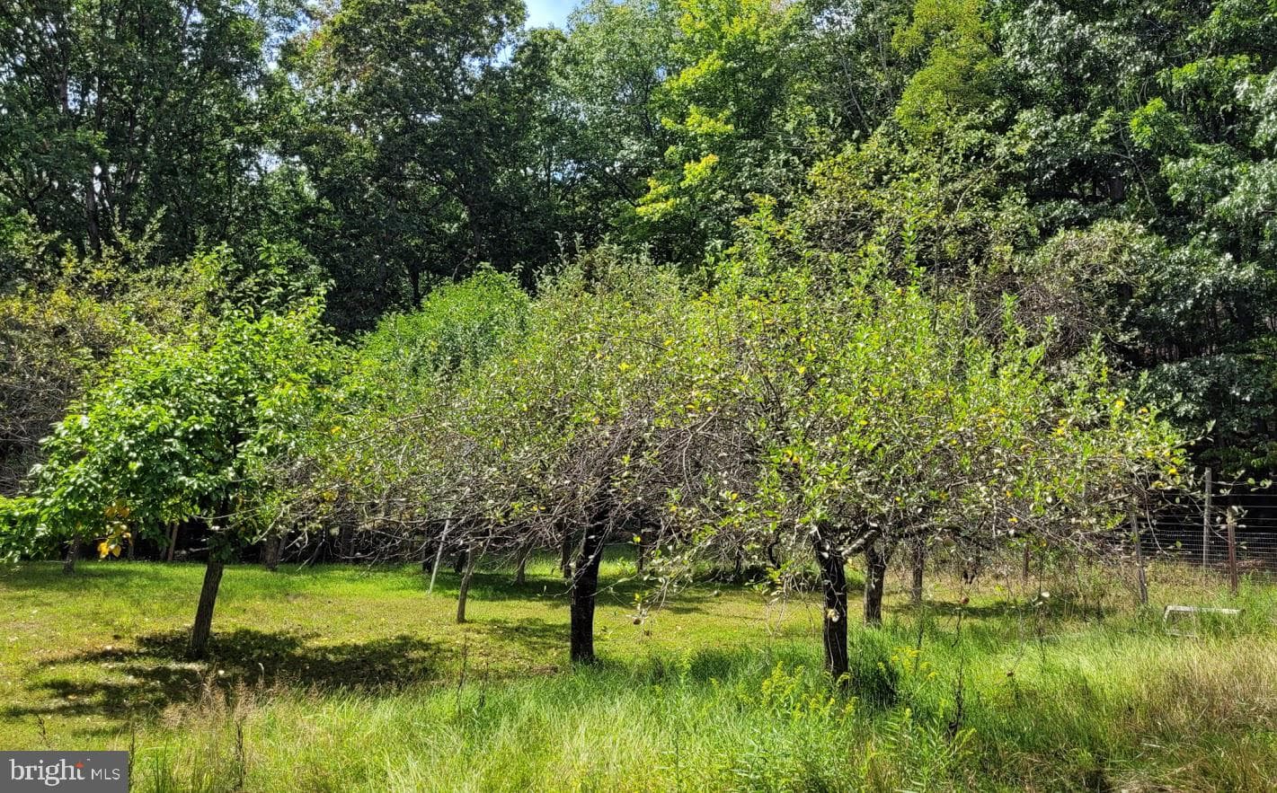 1537 Hidden Valley Road photo 75