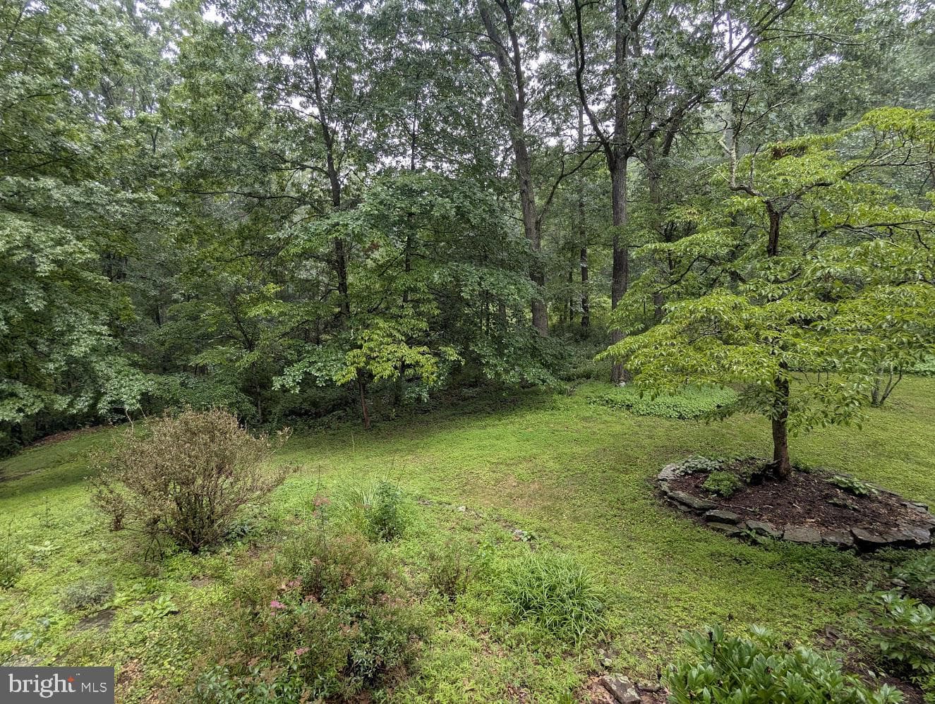 1537 Hidden Valley Road photo 9
