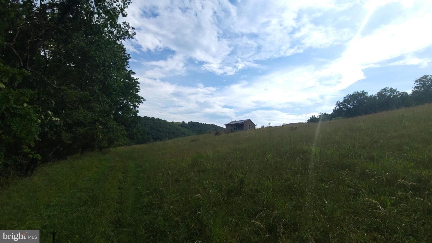 534 Strauter Road photo 23