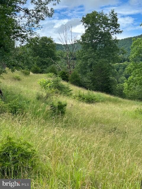 534 Strauter Road photo 29