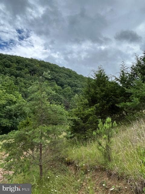 534 Strauter Road photo 30