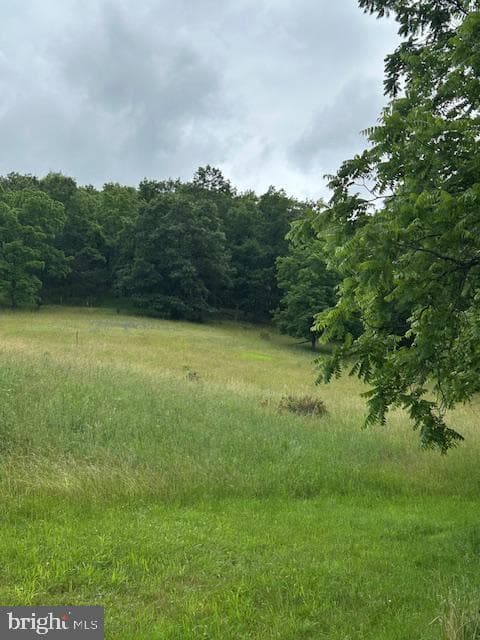 534 Strauter Road photo 33