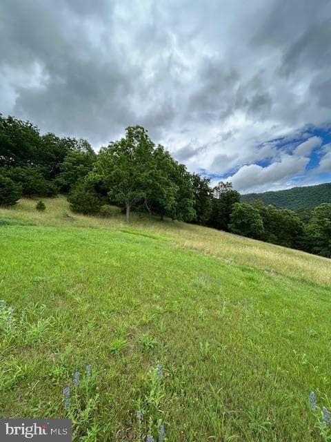 534 Strauter Road photo 39