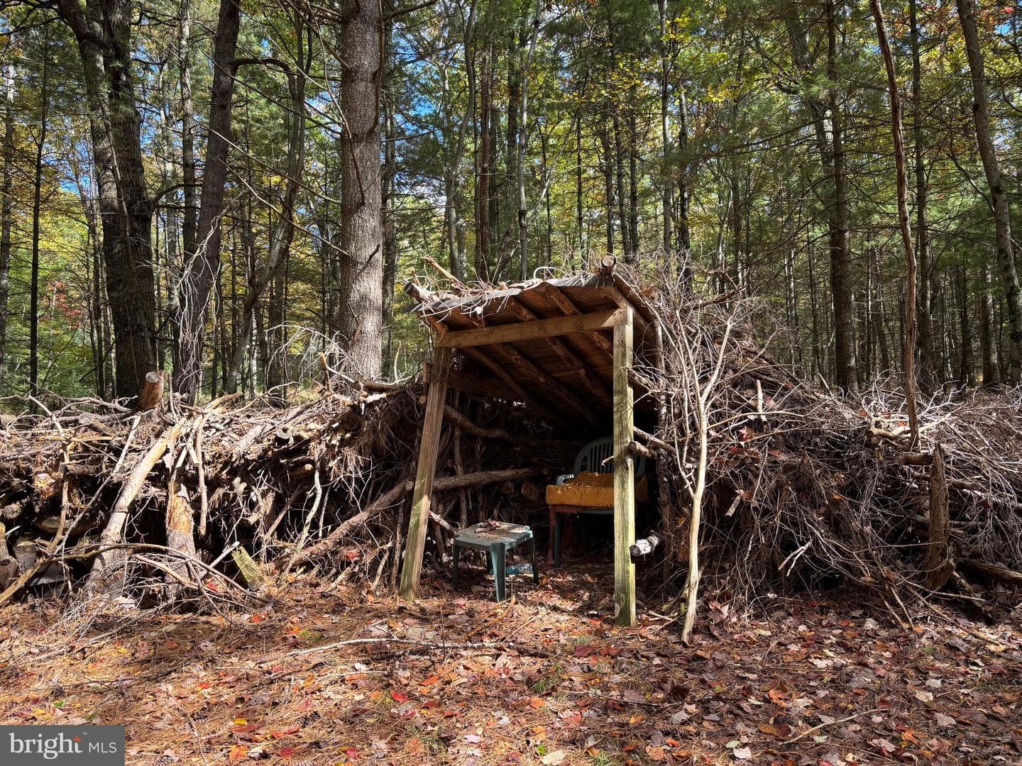 3825 Dickenson Mountain Road photo 30