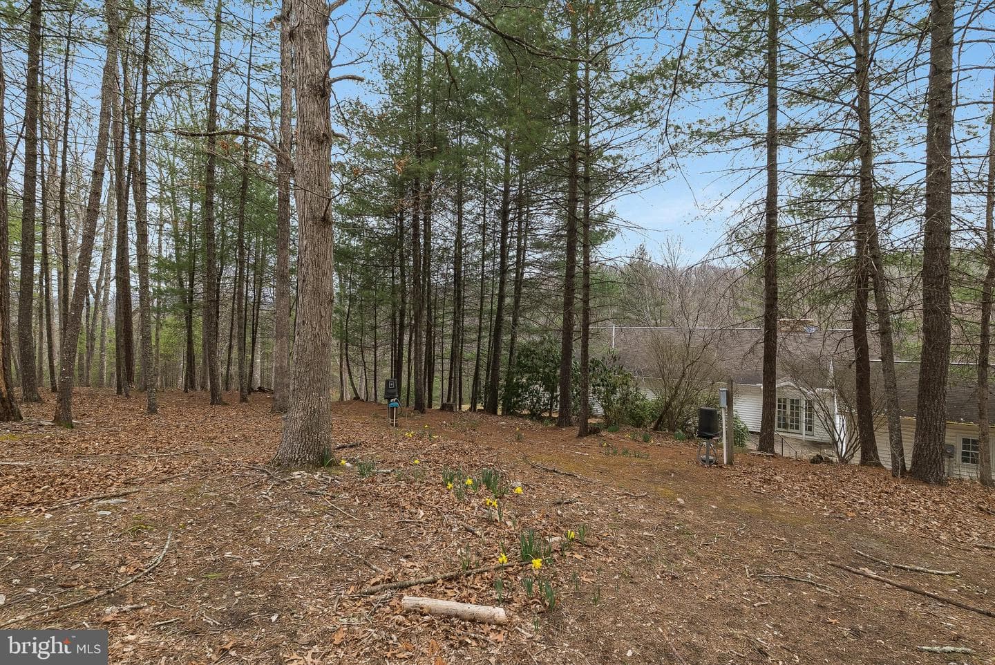 232 Oakmont Estates Drive photo 79