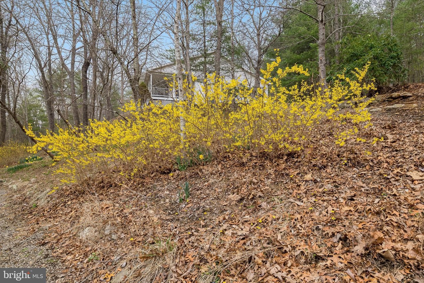 232 Oakmont Estates Drive photo 81