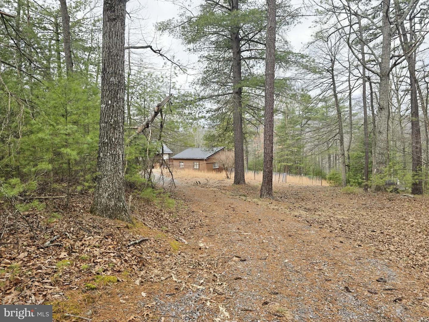 1120 Sandy Ridge Road photo 13