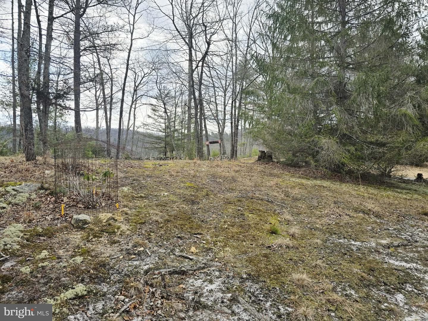 1120 Sandy Ridge Road photo 45