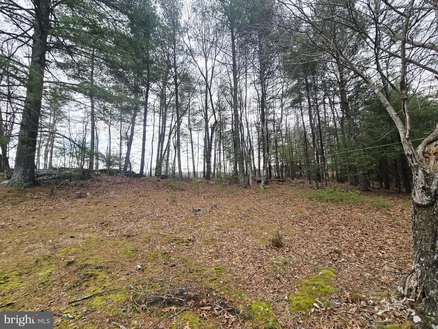 1120 Sandy Ridge Road photo 48