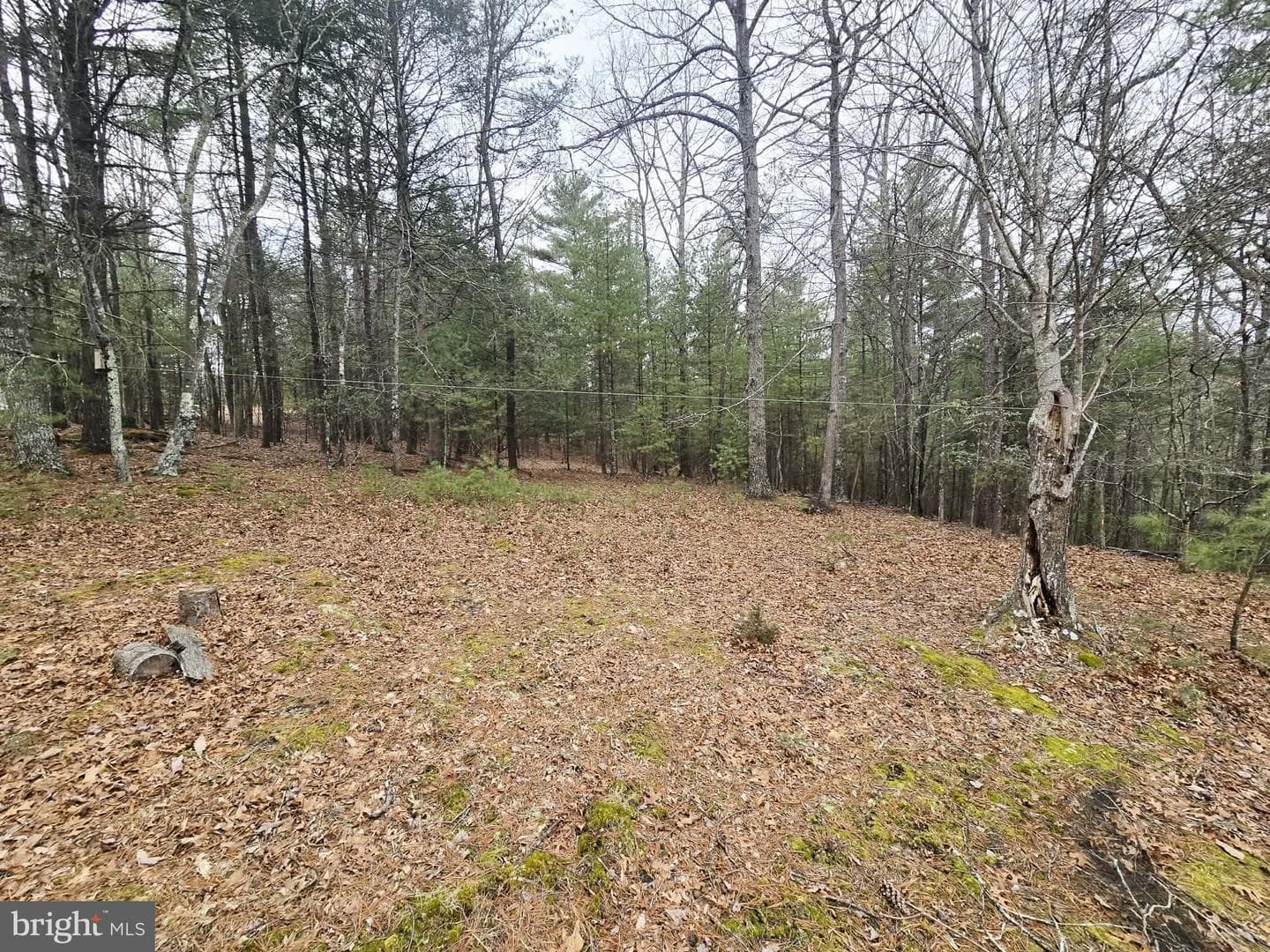 1120 Sandy Ridge Road photo 49