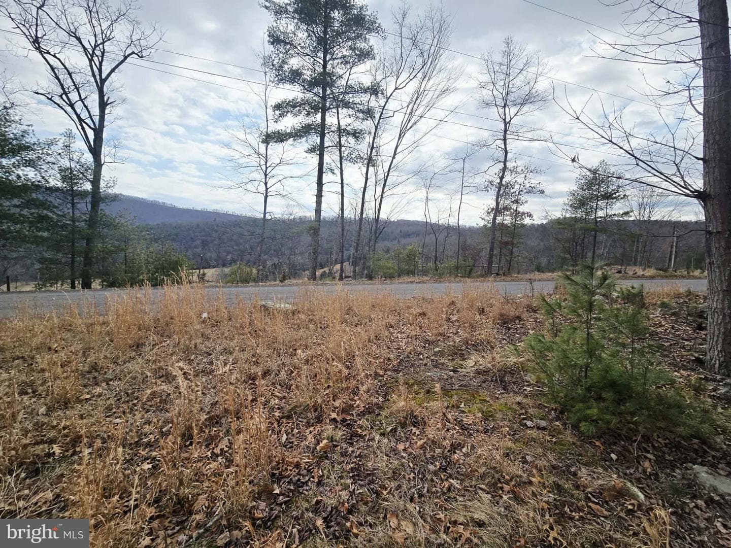 1120 Sandy Ridge Road photo 50