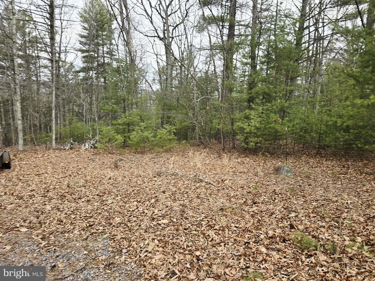 1120 Sandy Ridge Road photo 53