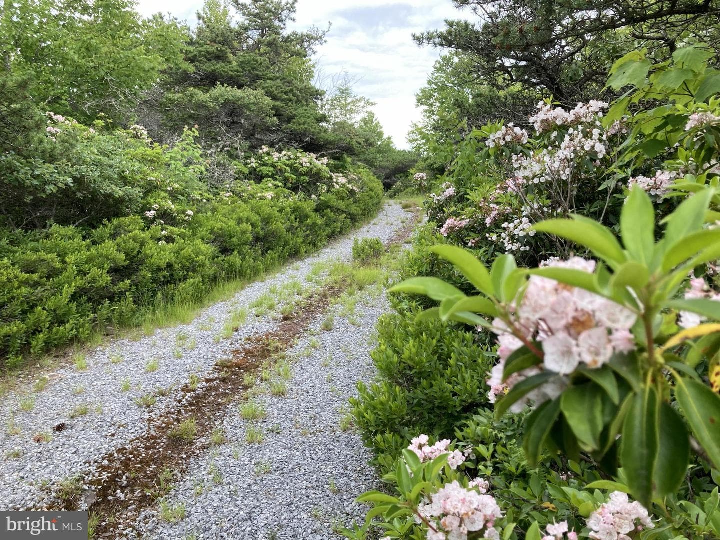 46 Pond Road photo 21