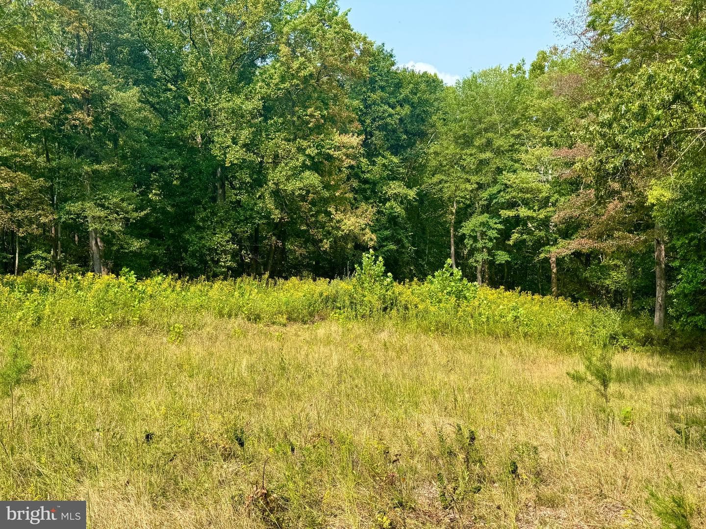 378 Indian Trail photo 21