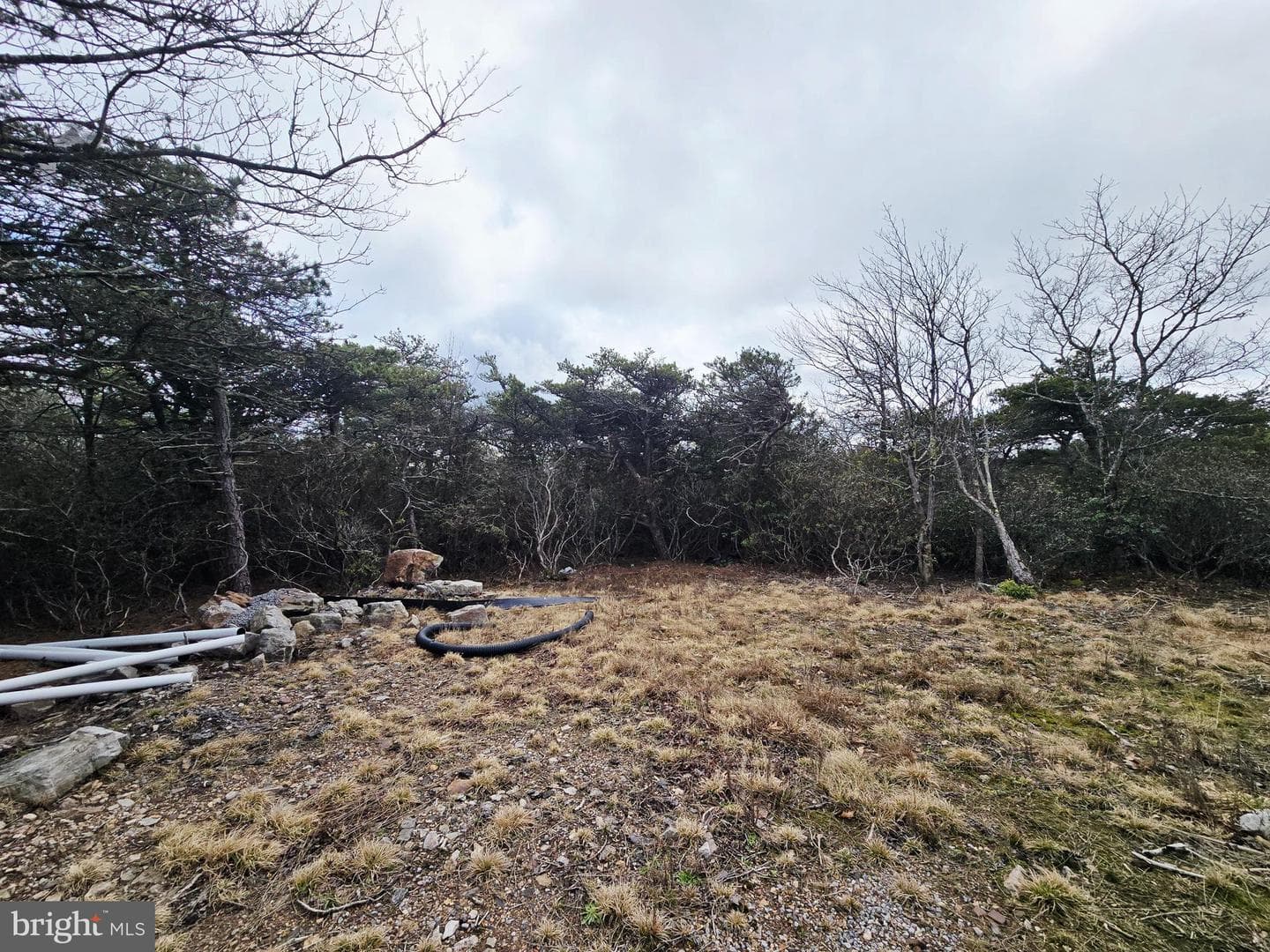 148 Pond Road photo 17