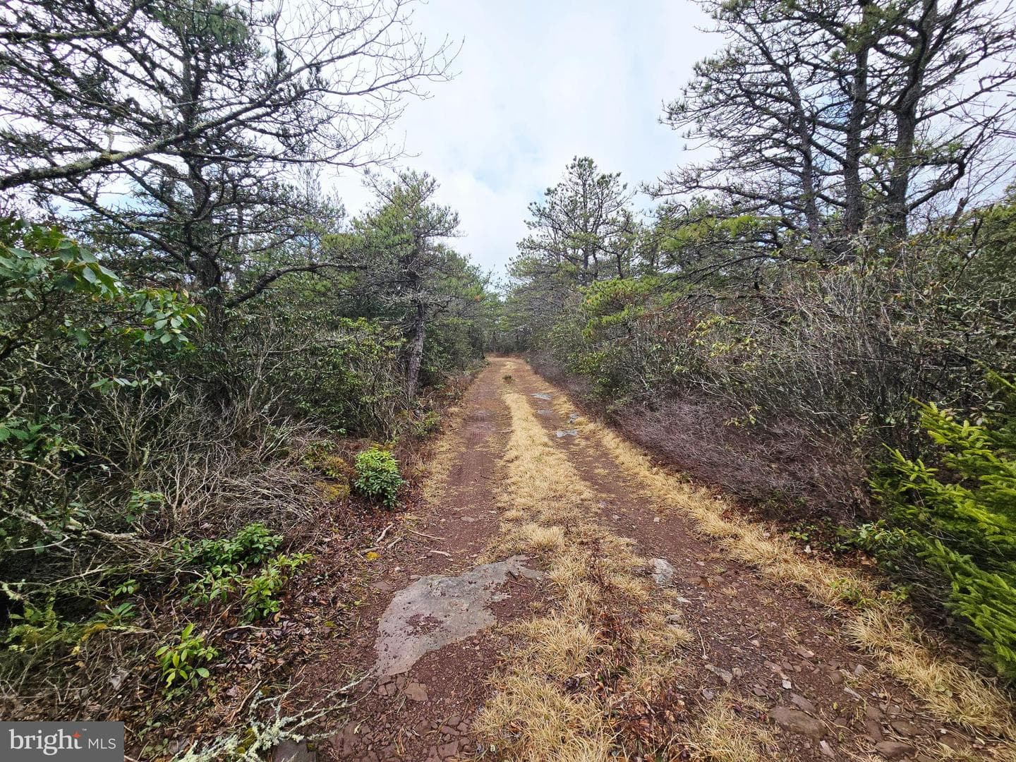 148 Pond Road photo 21