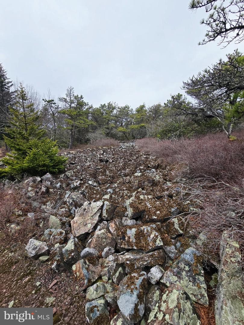 148 Pond Road photo 24