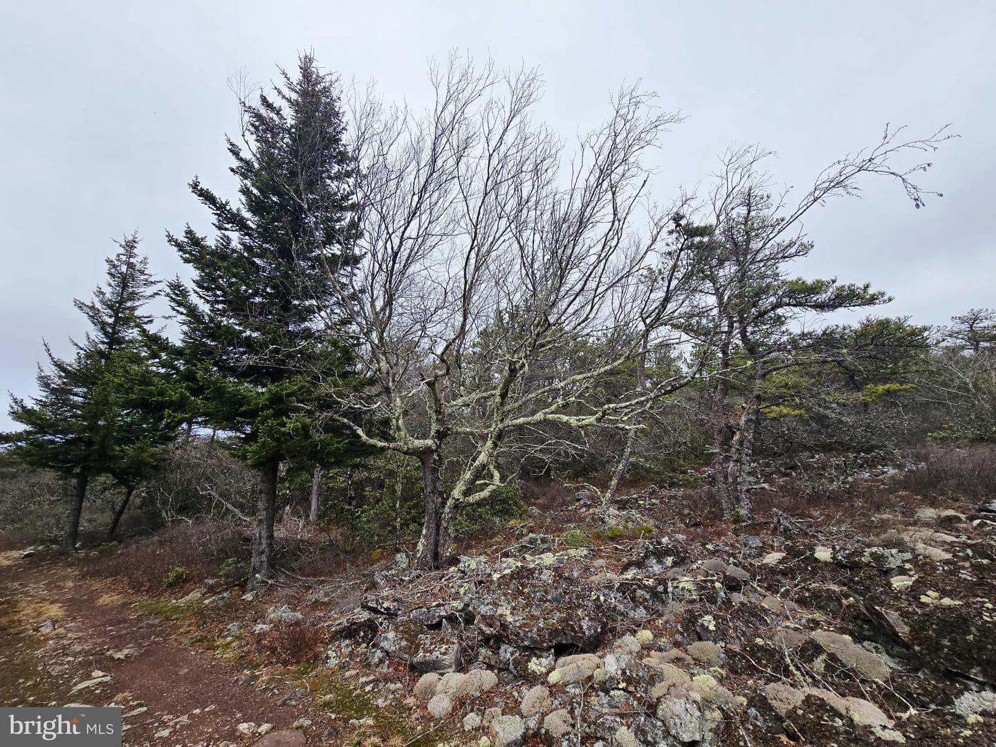 148 Pond Road photo 25
