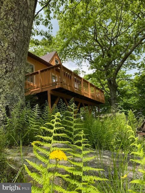 39 Kile Knob Road photo 6