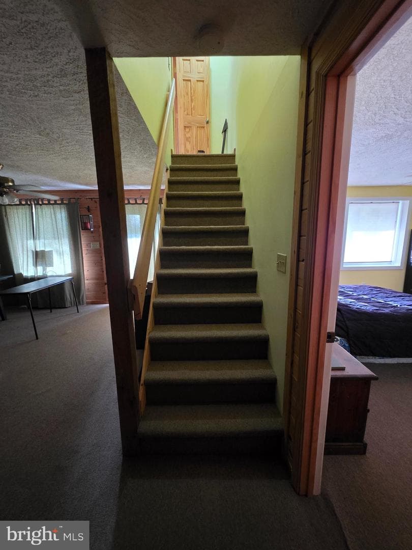 384 Scarlet Tanager Trail photo 13