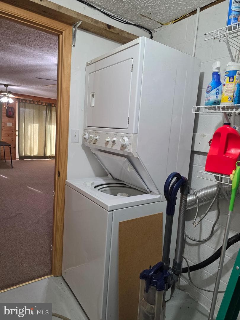 384 Scarlet Tanager Trail photo 18
