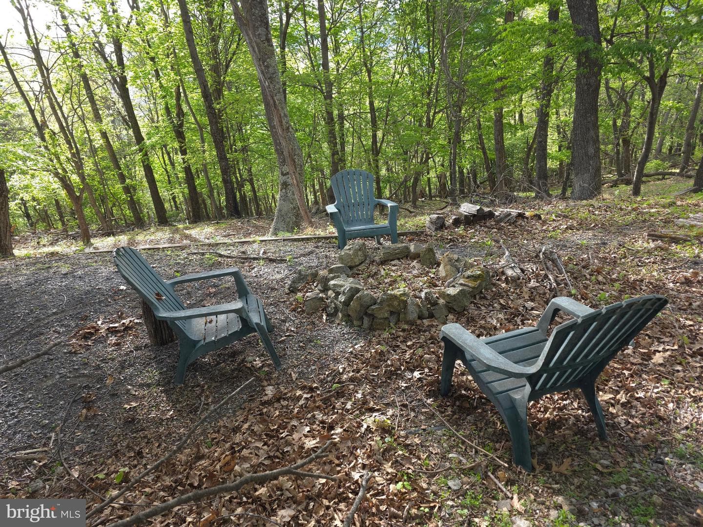 384 Scarlet Tanager Trail photo 41