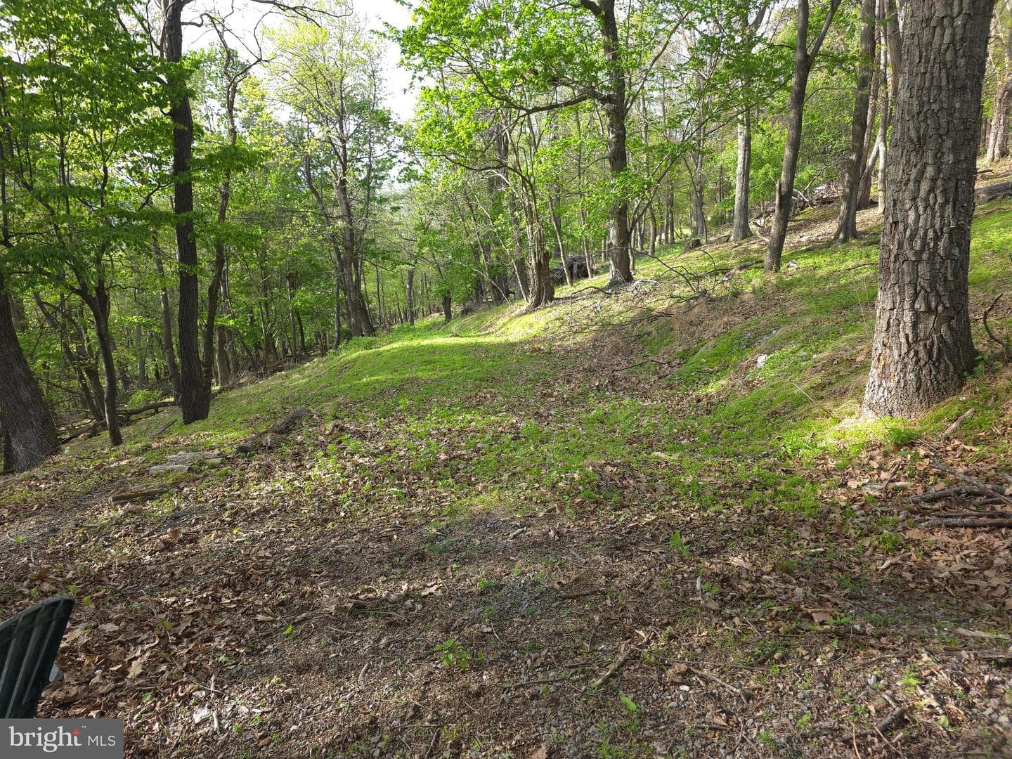 384 Scarlet Tanager Trail photo 42