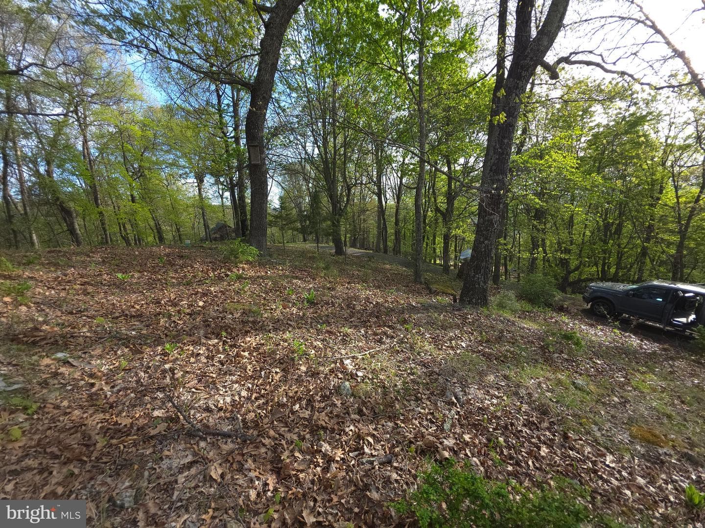 384 Scarlet Tanager Trail photo 44