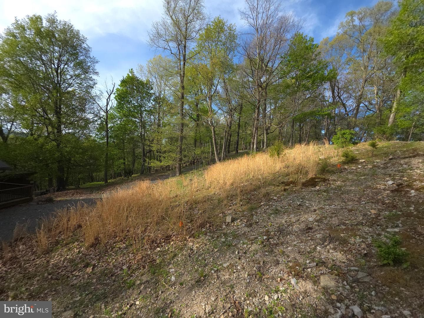 384 Scarlet Tanager Trail photo 47
