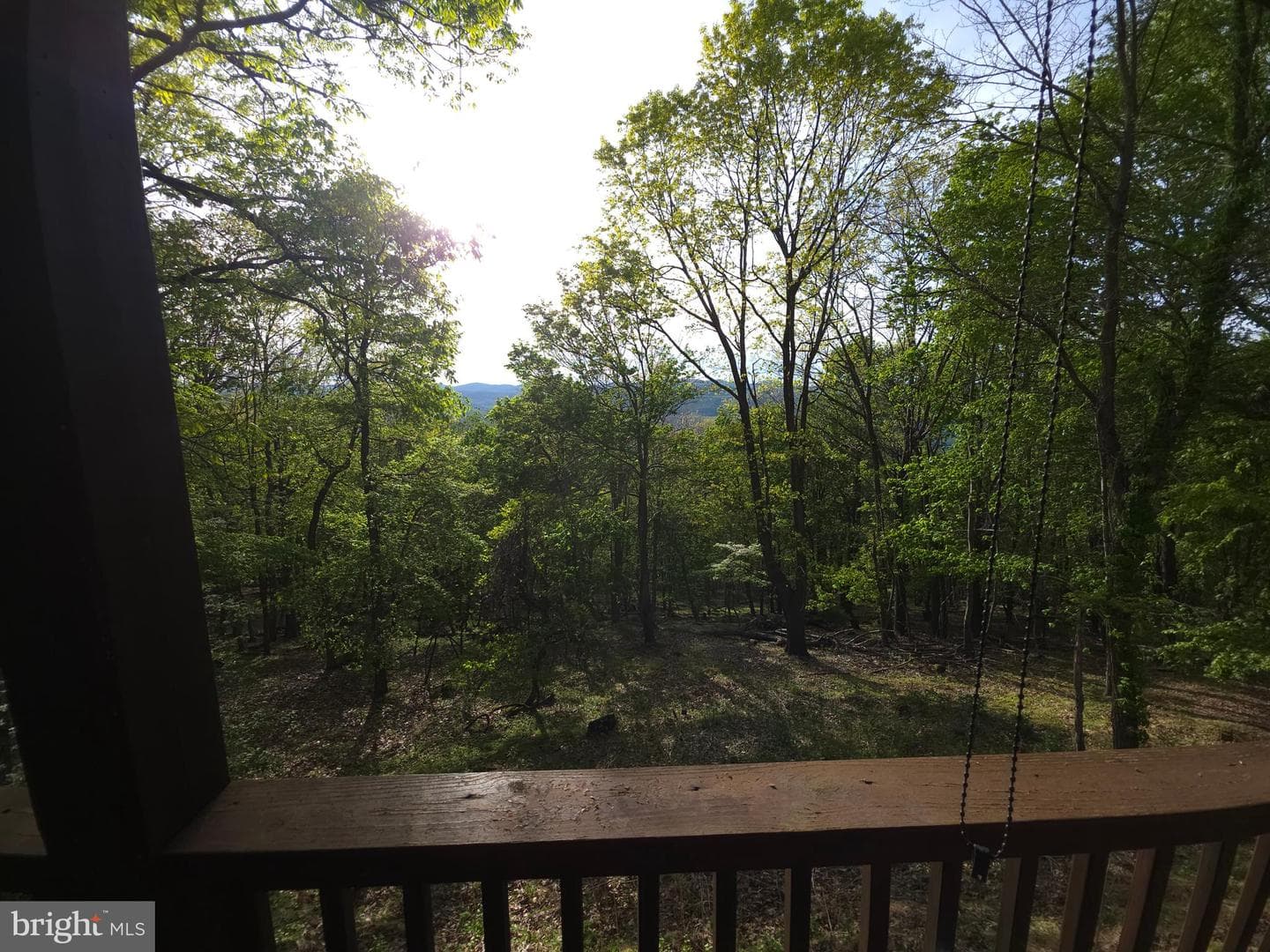 384 Scarlet Tanager Trail photo 49