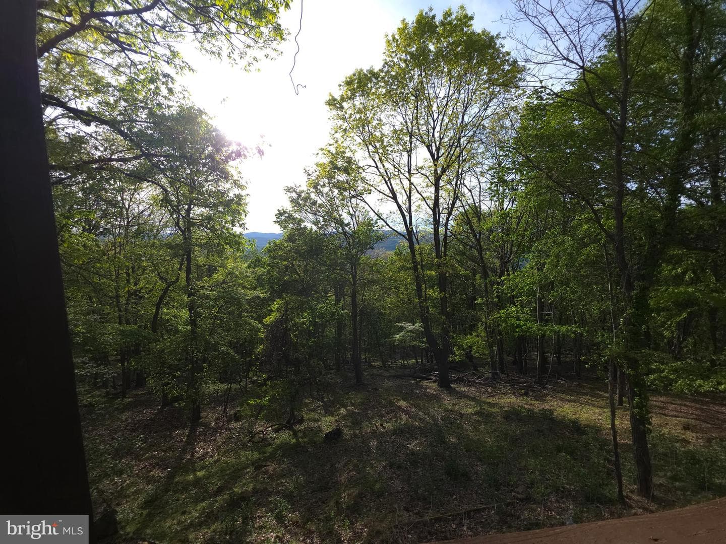 384 Scarlet Tanager Trail photo 50