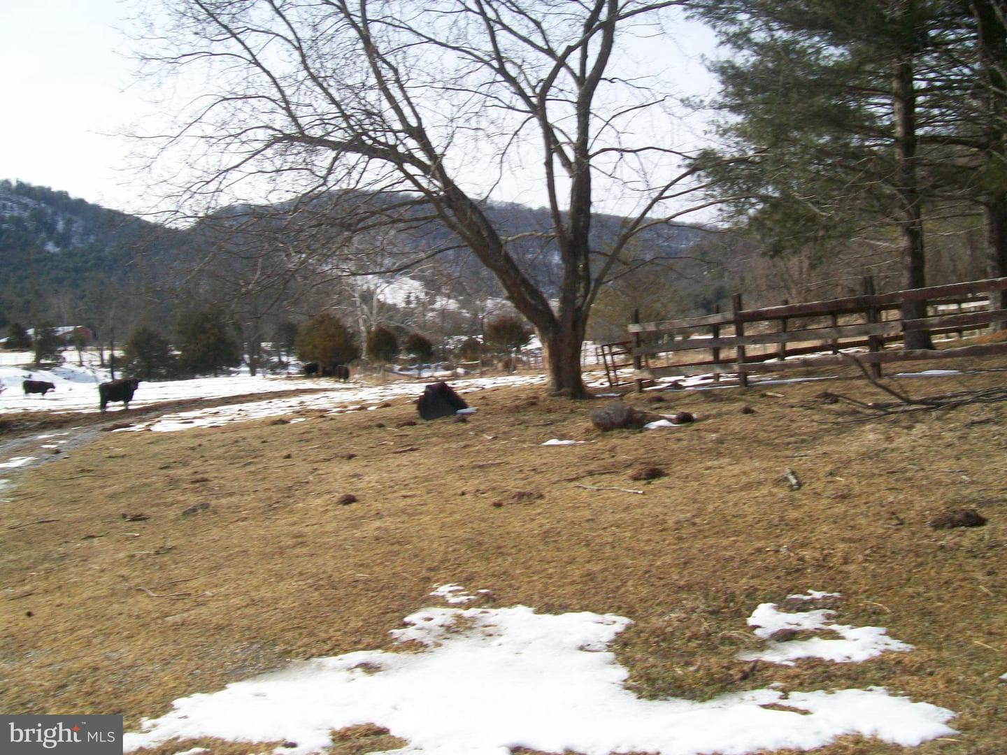 5621 Kiser Gap Road photo 49
