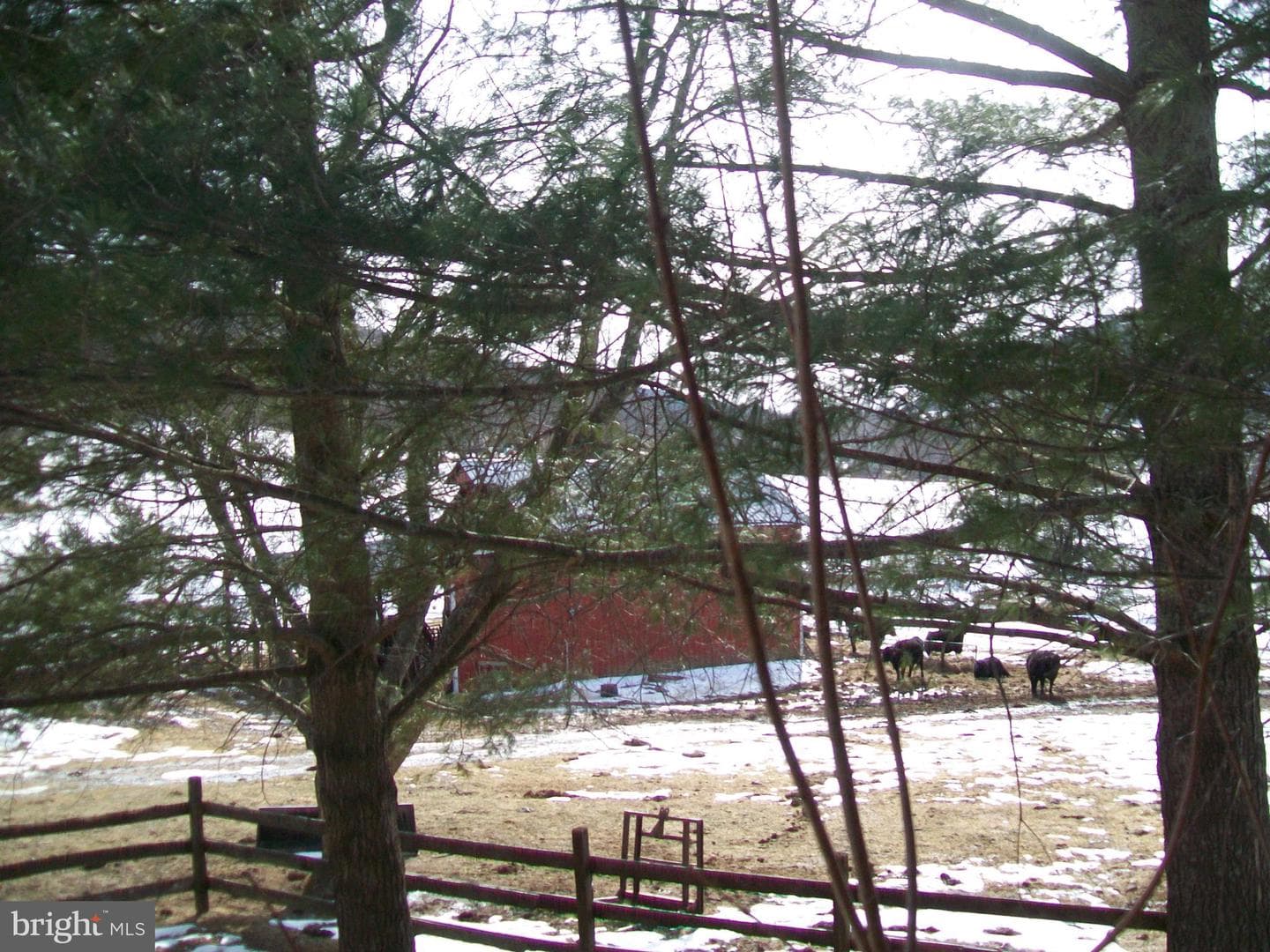 5621 Kiser Gap Road photo 54