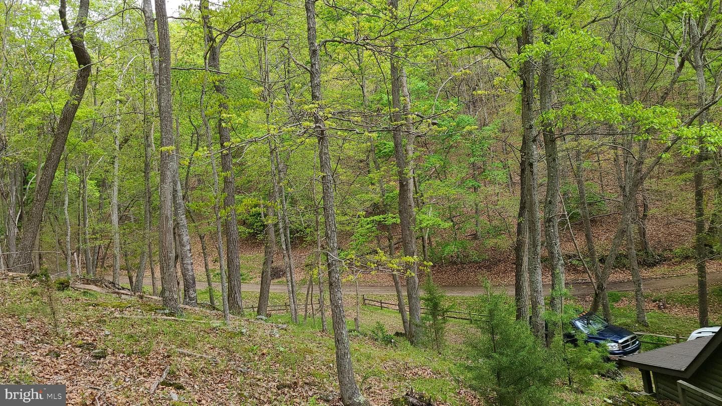 740 Deer Crossing Trail photo 8