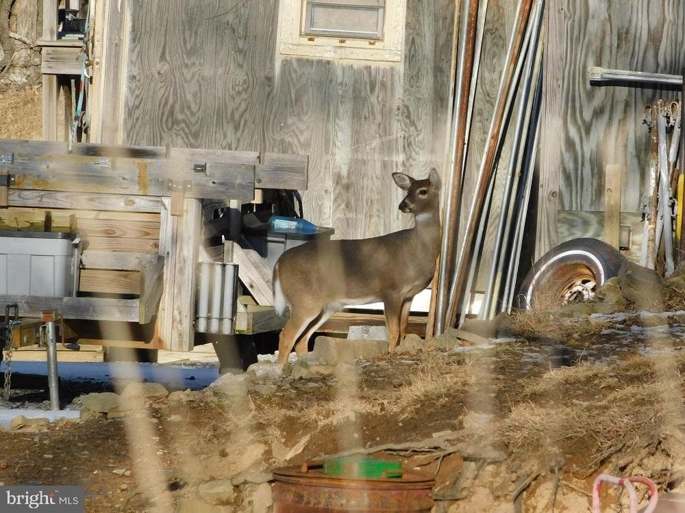 515 Lookout Lane photo 37