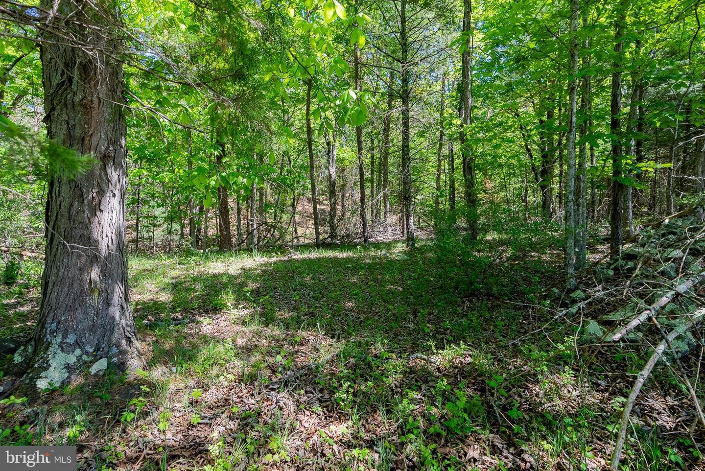 73 Sweedlin View Lane photo 22
