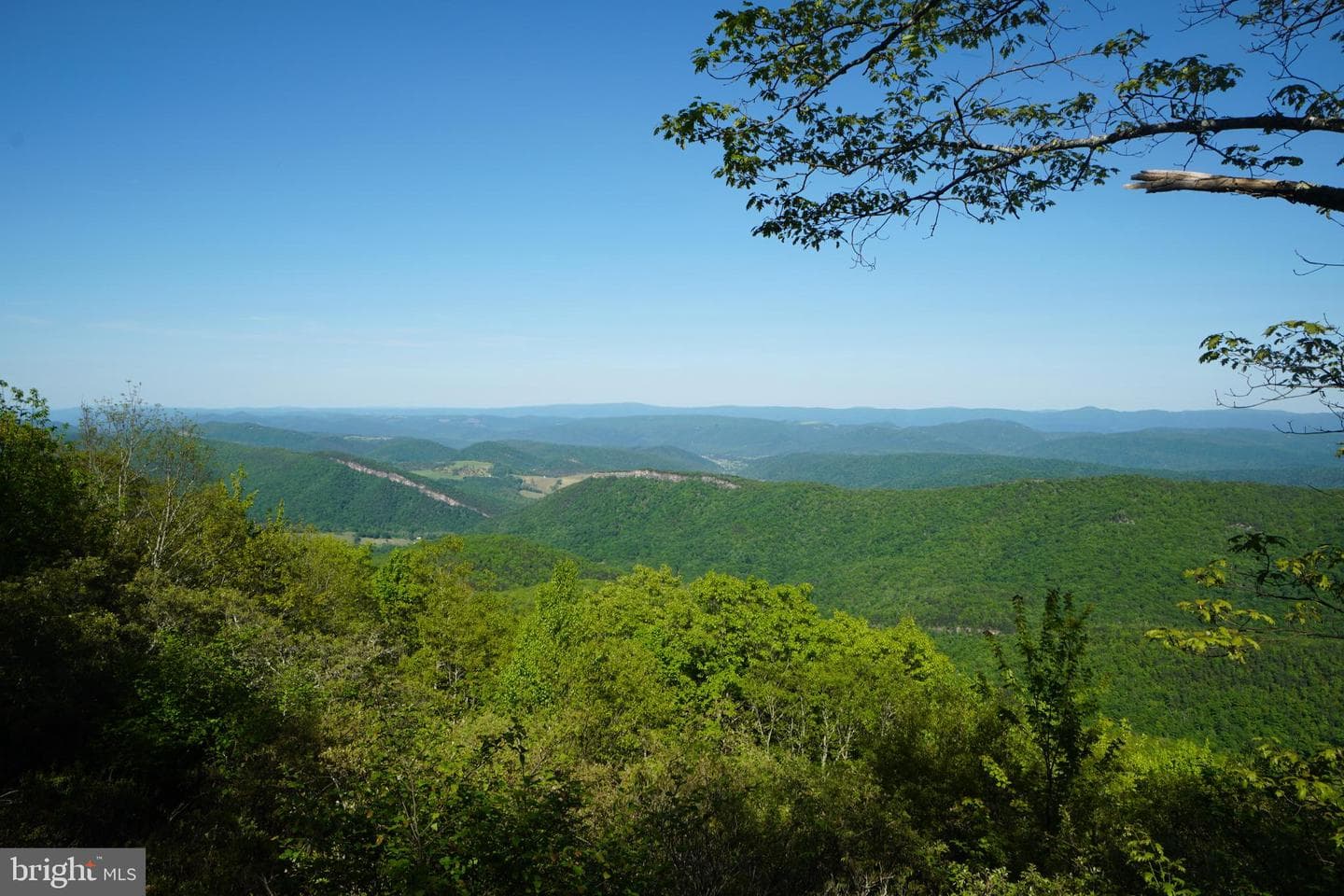 829 Kile Knob Road photo 10