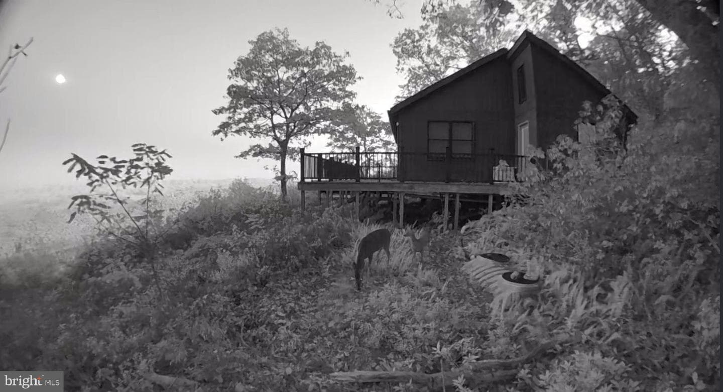 829 Kile Knob Road photo 6