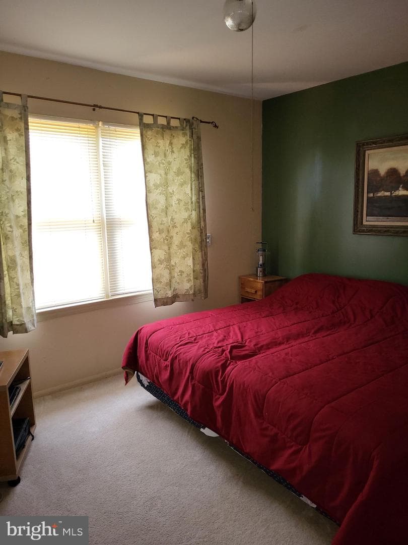 207 Lower Knob Road photo 20