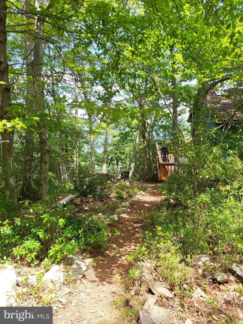 207 Lower Knob Road photo 30