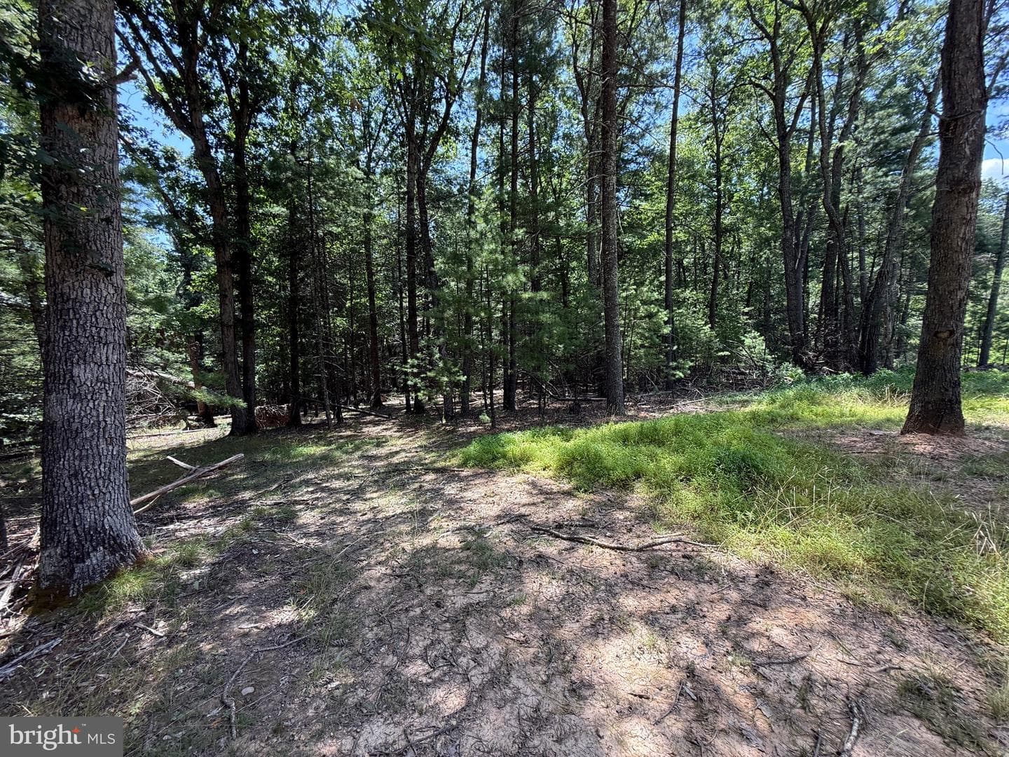 279 Waterline Drive photo 11