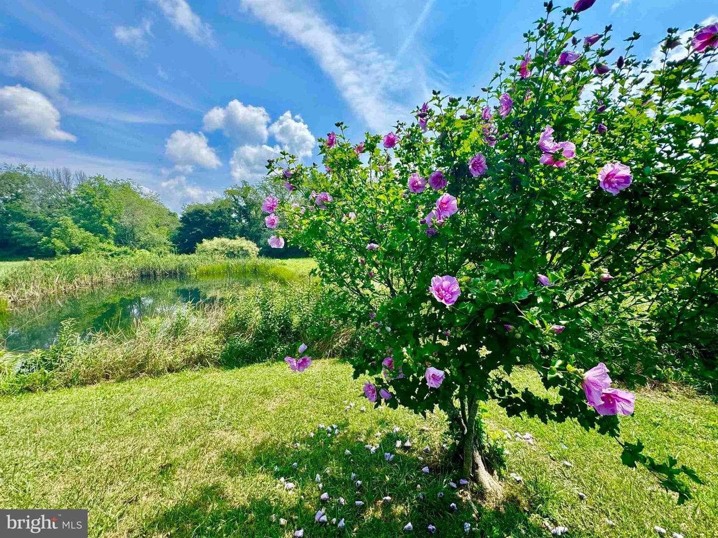 624 Arnold Hill Road, Elkins