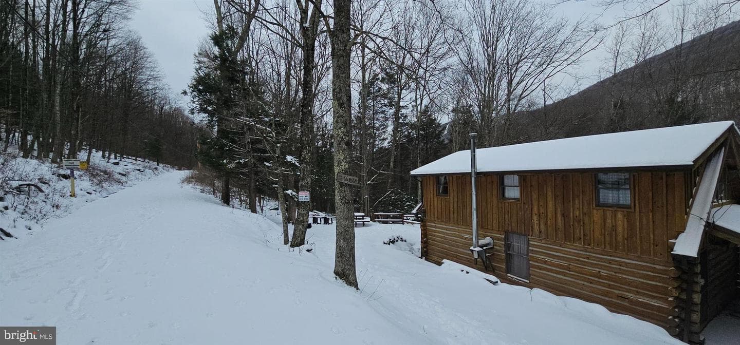390 Dolly Lane photo 22