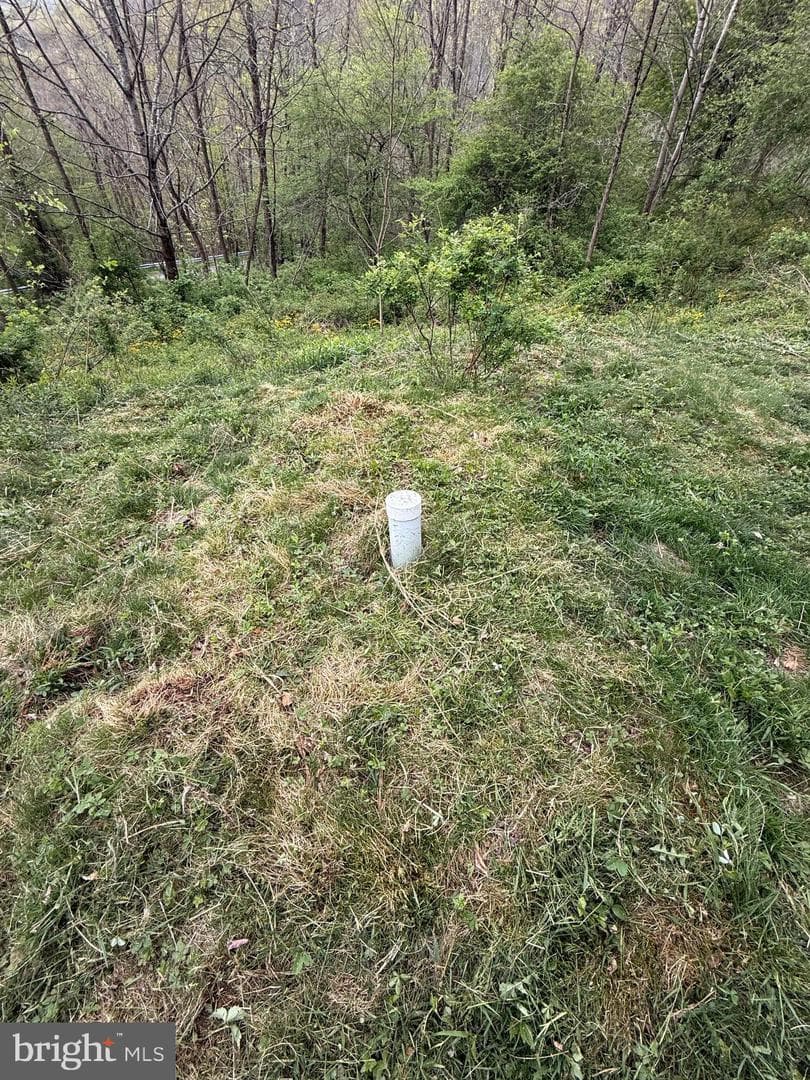 590 Short Cut Road photo 29