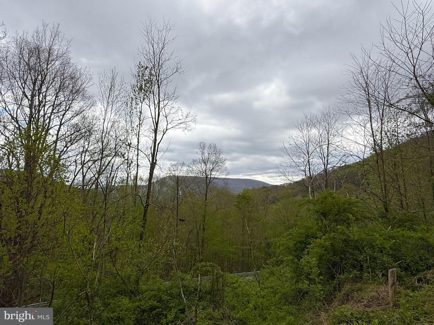 590 Short Cut Road photo 6