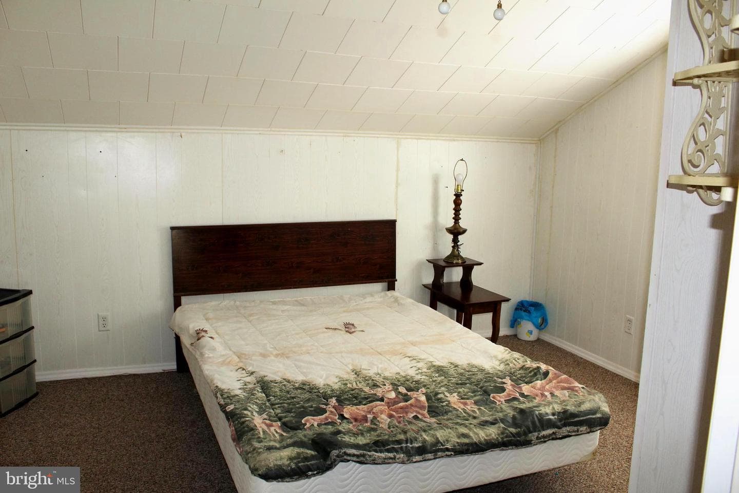 218 Birch Alley photo 20