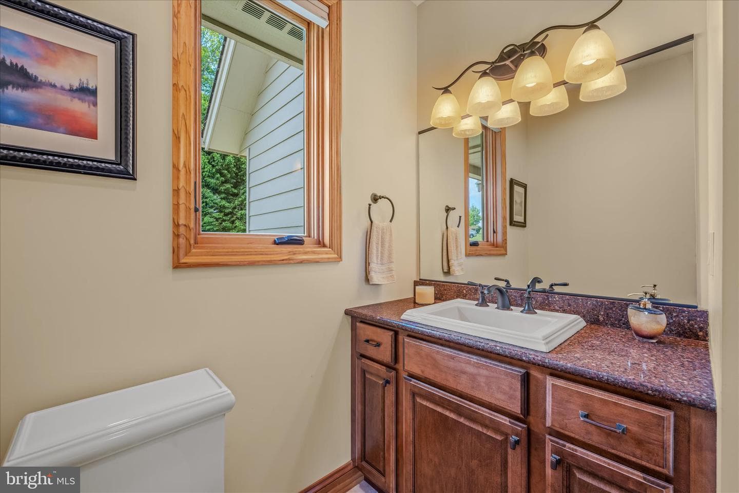 344 Mallow Lake Drive photo 33