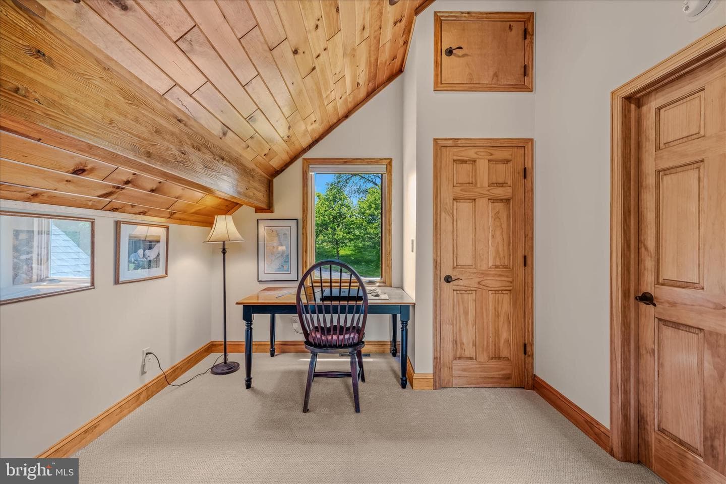344 Mallow Lake Drive photo 44